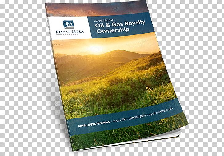 BT Frog: Beginning To Fully Rely On God Paperback Petroleum Brochure Natural Gas PNG, Clipart, Advertising, Brand, Brochure, Grass, Investment Free PNG Download