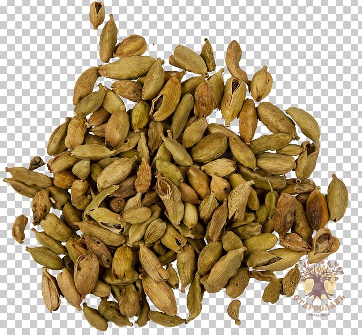 Nut Pumpkin Seed Salad Food PNG, Clipart, Butternut Squash, Commodity, Cucurbita, Damon, Eating Free PNG Download
