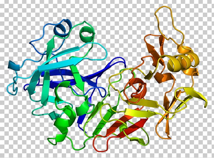 Pepsinogen PGA5 Protein Pepstatin PNG, Clipart, Area, Art, Artwork, Ensembl, Enzyme Free PNG Download