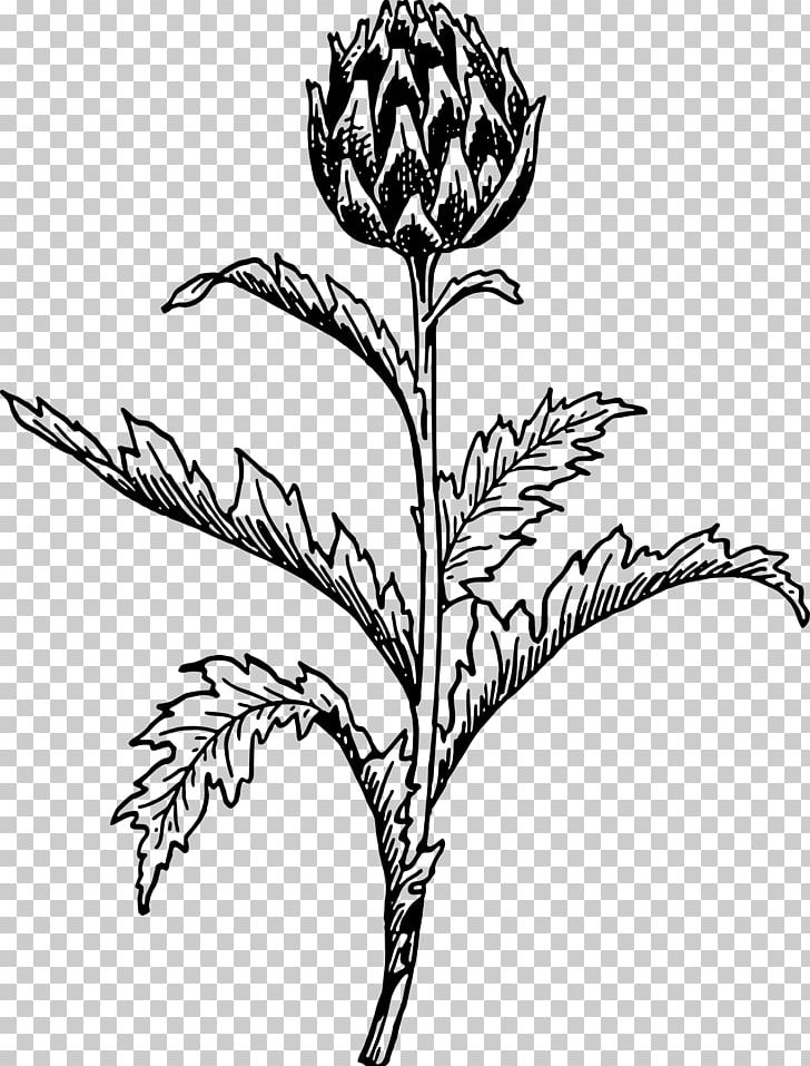 Artichoke Thistle Vegetable PNG, Clipart, Artichoke, Artwork, Black And White, Branch, Cardoon Free PNG Download
