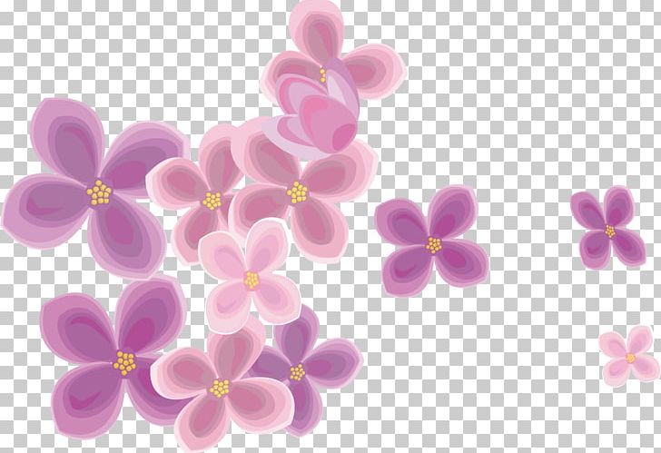 Cherry Blossom Cerasus Flower PNG, Clipart, Background Vector, Blossom, Cherry, Cherry Background, Cherry Blossoms Free PNG Download