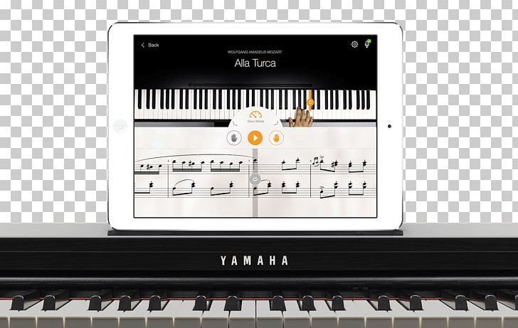 Digital Piano Electric Piano Electronic Keyboard Player Piano Pianet PNG, Clipart, Digital Piano, Electronic Device, Electronics, Furniture, Hand Free PNG Download