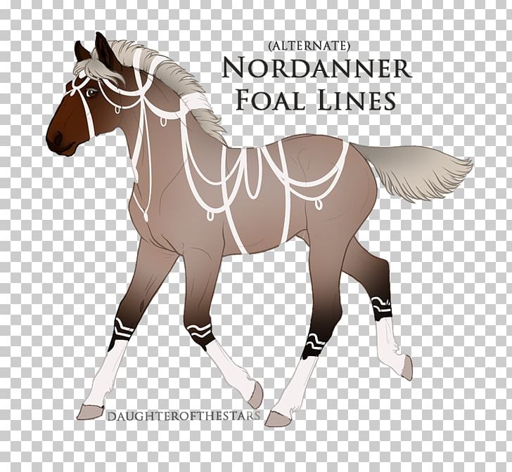 Halter Mustang Stallion Rein Horse Harnesses PNG, Clipart, Bit, Bridle, Halter, Horse, Horse Harness Free PNG Download