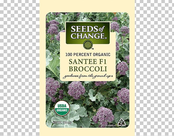 Spring Greens Herb Lettuce Seeds Of Change PNG, Clipart, Broccoli, Broccoli Sprouts, Certification, Flower, Herb Free PNG Download