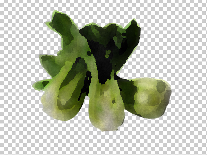 Leaf Vegetable Vegetable PNG, Clipart, Leaf Vegetable, Vegetable Free PNG Download