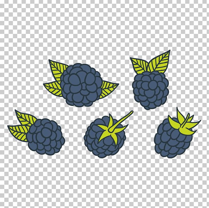 Berry Euclidean PNG, Clipart, Berry, Blueberries Vector, Blueberry, Blueberry Juice, Download Free PNG Download