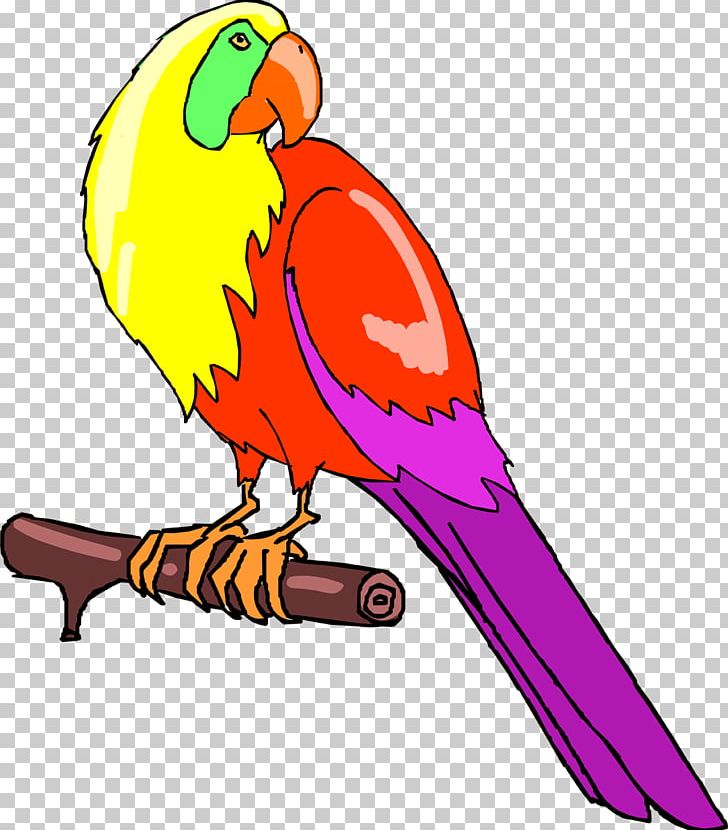 Bird Parrot Parakeet Macaw Feather PNG, Clipart, Advertising, Animal, Animal Figure, Animals, Artwork Free PNG Download