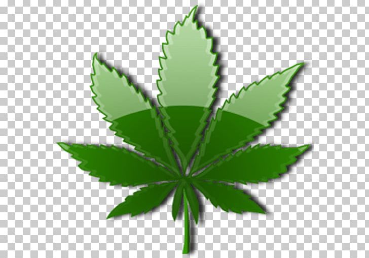 Cannabis Sativa Leaf Drug Endocannabinoid System PNG, Clipart, Cannabaceae, Cannabinoid, Cannabis, Cannabis Sativa, Computer Wallpaper Free PNG Download