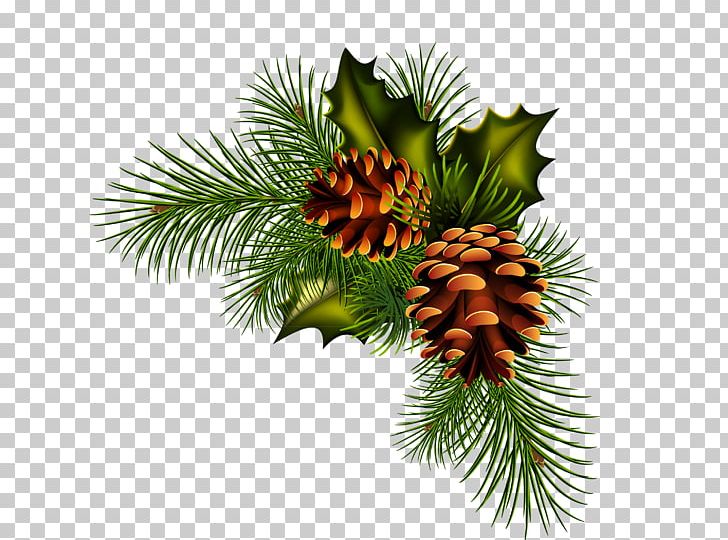 Pine Spruce Fir Conifer Cone PNG, Clipart, California Foothill Pine, Christmas Decoration, Christmas Ornament, Computer Icons, Cone Free PNG Download