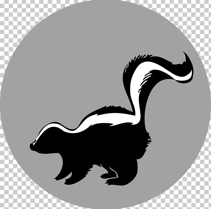 Raccoon Silhouette American Mink Duck Skunk PNG, Clipart, American Mink, Anatidae, Animal, Animals, Beak Free PNG Download