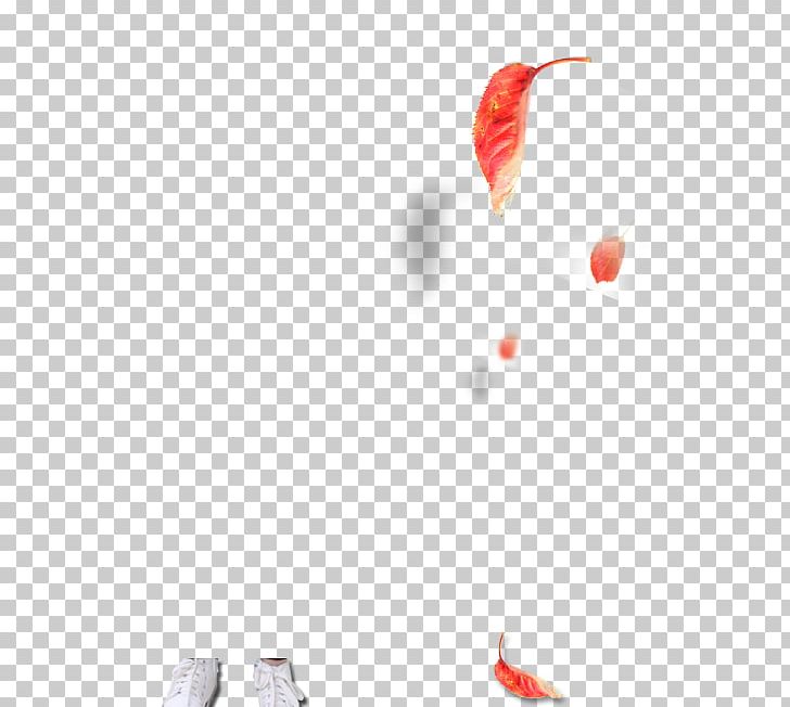 Red Maple Leaf PNG, Clipart, Autumn Leaf, Autumn Leaf Color, Background, Designer, Download Free PNG Download