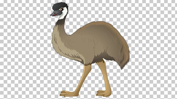 Common Ostrich Emu Drawing Photography PNG, Clipart, Animaatio, Animal Figure, Animated Film, Beak, Bird Free PNG Download