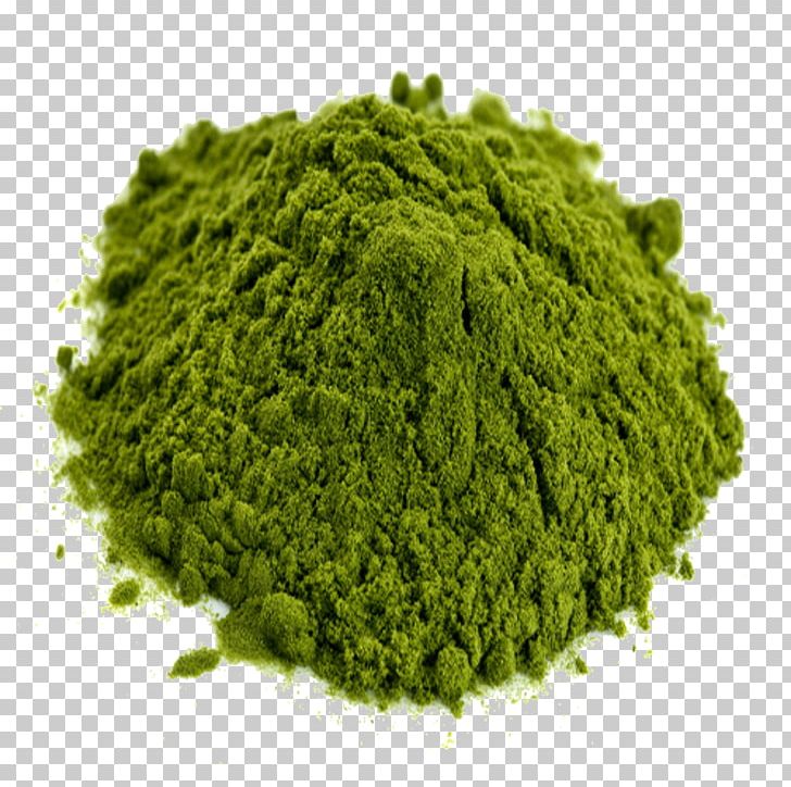 Green Algae Rijk Zwaan Lettuce Mitragyna Speciosa PNG, Clipart, Algae, Chlorella, Chlorella Vulgaris, Chlorophyll, Description Free PNG Download