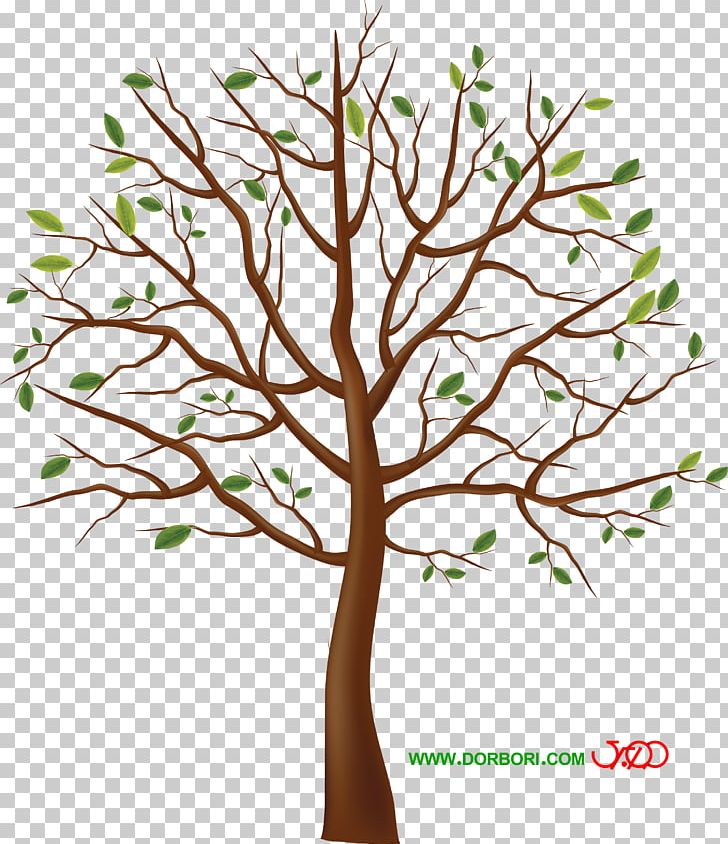Tree PNG, Clipart, Branch, Desktop Wallpaper, Digital Image, Flower, Fruit Nut Free PNG Download