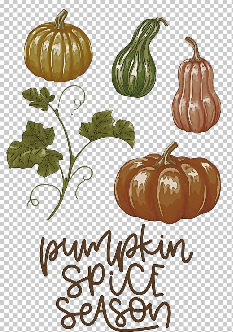 Autumn Pumpkin Spice Season Pumpkin PNG, Clipart, Autumn, Drawing, Pumpkin, Pumpkin Leaves, Royaltyfree Free PNG Download