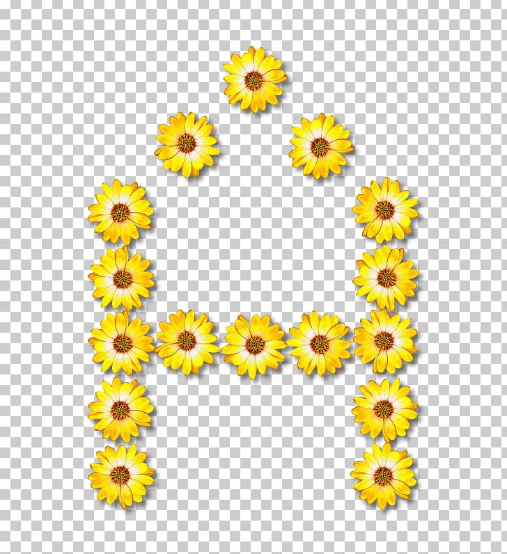 Alphabet Floral Design Letter U PNG, Clipart, Alphabet, Alphabet A, Chrysanths, Cut Flowers, Daisy Family Free PNG Download