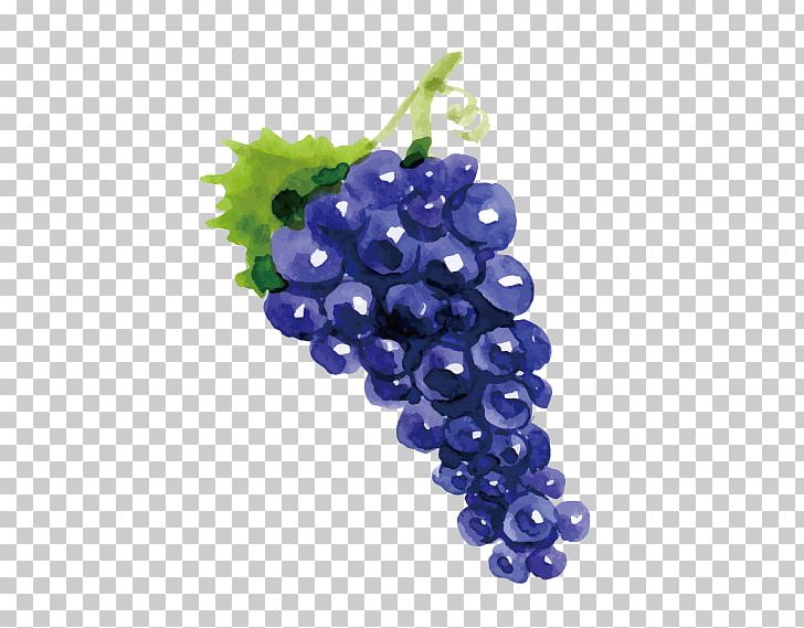 Grape Wine Drawing Fruit PNG, Clipart, Beautifully Handpainted Fruit, Drawing Fruit, Drawing Vector, Flowering Plant, Food Free PNG Download