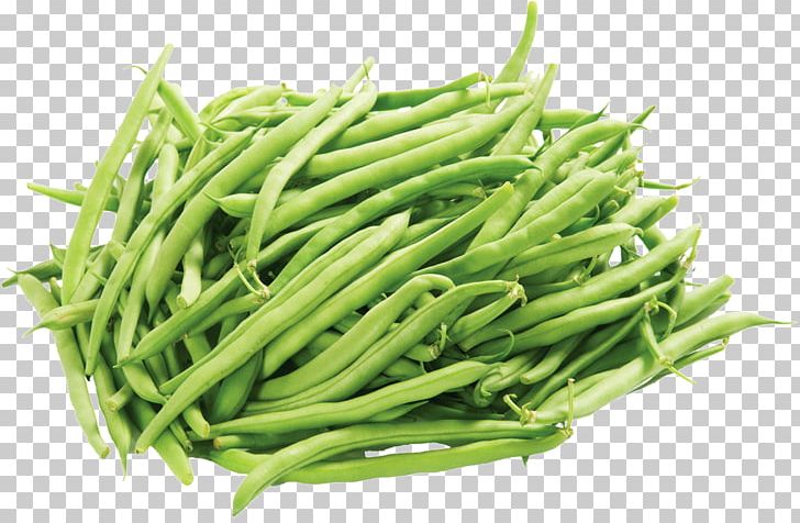 Green Bean Portable Network Graphics Refried Beans Vegetable PNG, Clipart, Bean, Beans, Belly, Belly Fat, Blackeyed Pea Free PNG Download