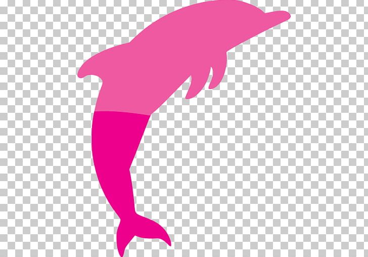 Common Bottlenose Dolphin Tucuxi Spinner Dolphin PNG, Clipart, Animals, Bottlenose Dolphin, Cetacea, Common Bottlenose Dolphin, Dolphin Tale Free PNG Download