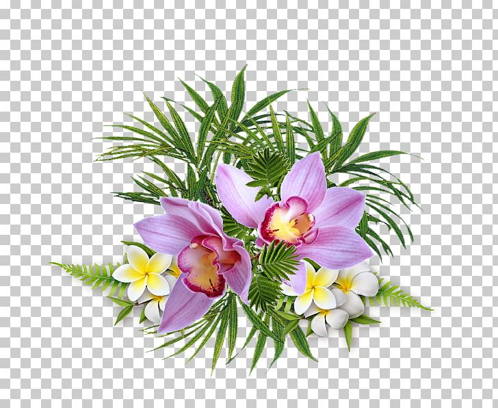 Floral Design Cut Flowers PNG, Clipart, Alstroemeriaceae, Art, Cut Flowers, Desktop Wallpaper, Download Free PNG Download