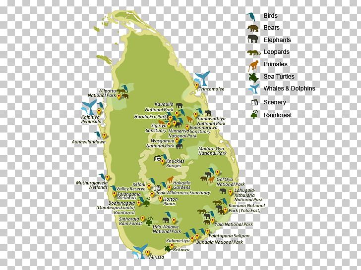 Sinharaja Forest Reserve Yala National Park Map Udawalawe National Park PNG, Clipart, Area, Bandipur National Park, Diagram, Ecoregion, Geography Free PNG Download