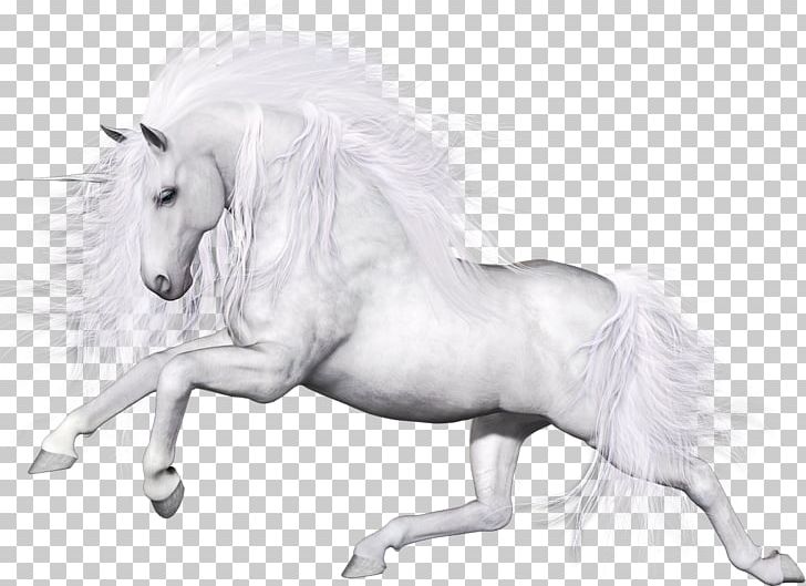 Unicorn Horse Pegasus Applejack PNG, Clipart, Atlar, At Resimleri, Black And White, Download, Drawing Free PNG Download