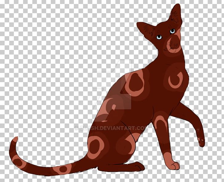 Whiskers Kitten Macropodidae Dog Mammal PNG, Clipart, Animals, Animated Cartoon, Canidae, Carnivoran, Cat Free PNG Download