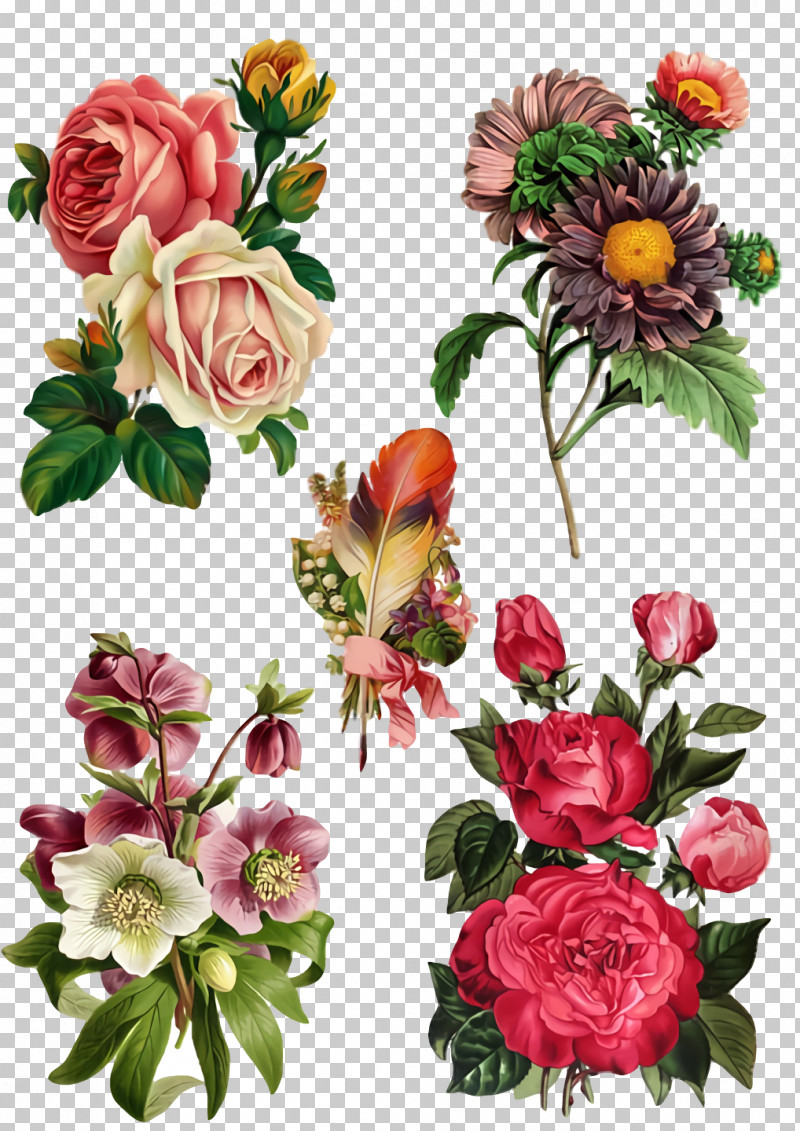 Garden Roses PNG, Clipart, Artificial Flower, Cabbage Rose, Cut Flowers, Floral Design, Flower Free PNG Download