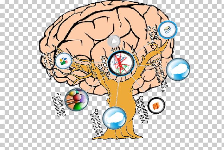 Brain PNG, Clipart, Animation, Area, Artwork, Brain, Brain Vector Free PNG Download