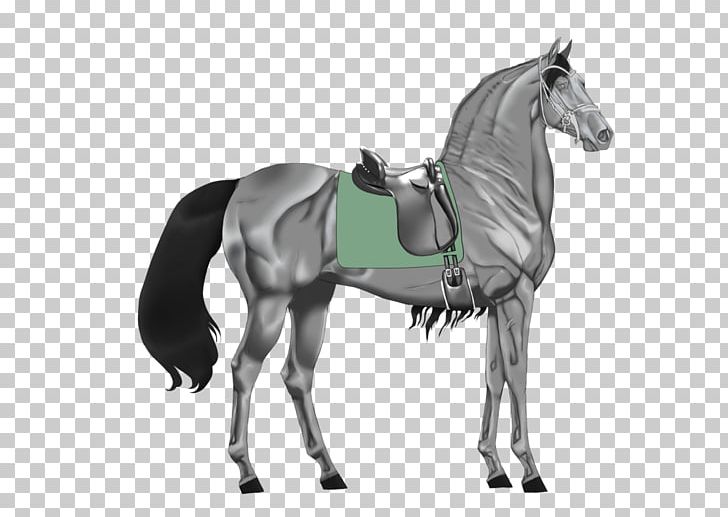 Stallion Mustang Pony Mare Rein PNG, Clipart, Bridle, English Riding, Equestrian Sport, Halter, Horse Free PNG Download