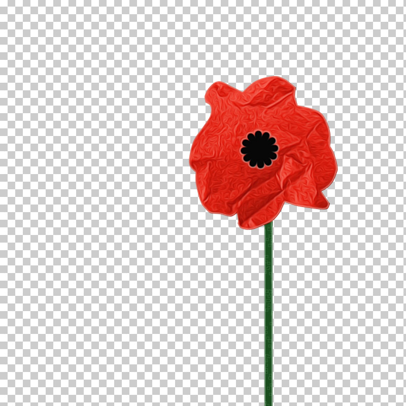 Red Flower Poppy Coquelicot Petal PNG, Clipart, Coquelicot, Corn Poppy, Cut Flowers, Flower, Paint Free PNG Download