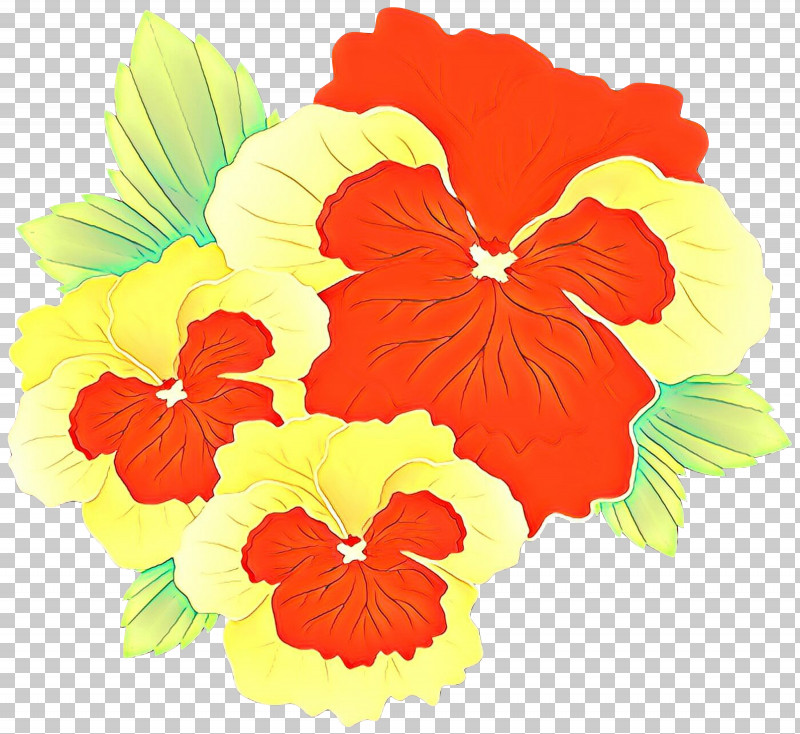 Hawaiian Hibiscus Flower Hibiscus Plant Petal PNG, Clipart, Flower, Hawaiian Hibiscus, Hibiscus, Mallow Family, Petal Free PNG Download