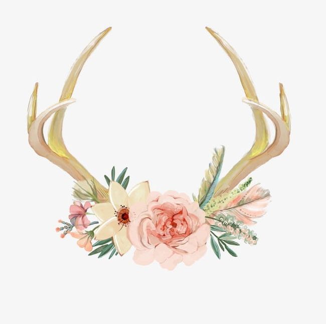 Antlers PNG, Clipart, Antlers Clipart, Backgrounds, Bouquet, Celebration, Decoration Free PNG Download