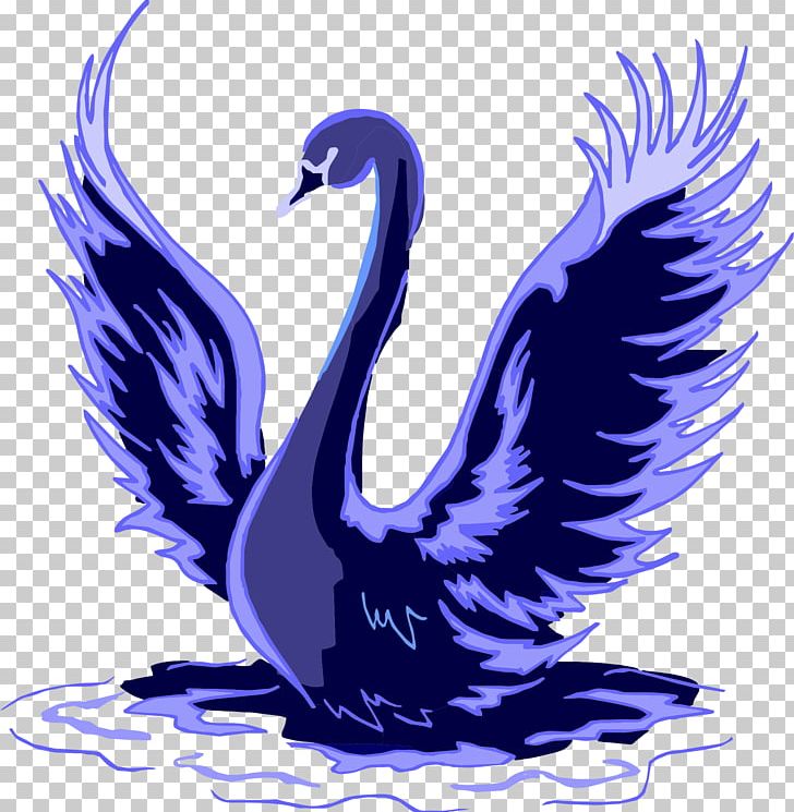 Black Swan Trumpeter Swan Bird PNG, Clipart, Anatidae, Animals, Beak, Bird, Black Swan Free PNG Download
