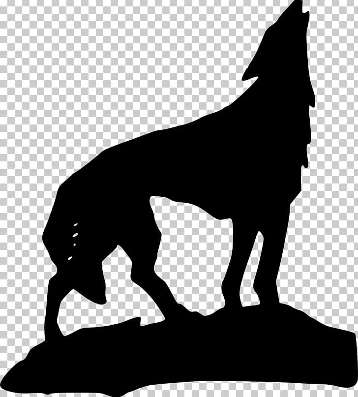 Gray Wolf PNG, Clipart, Black, Black Amp, Black And White, Carnivoran, Dog Free PNG Download