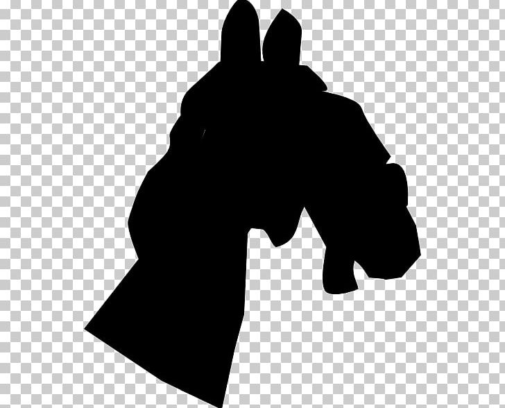 Horse Line Art PNG, Clipart, Animal, Art, Black, Black And White, Computer Icons Free PNG Download