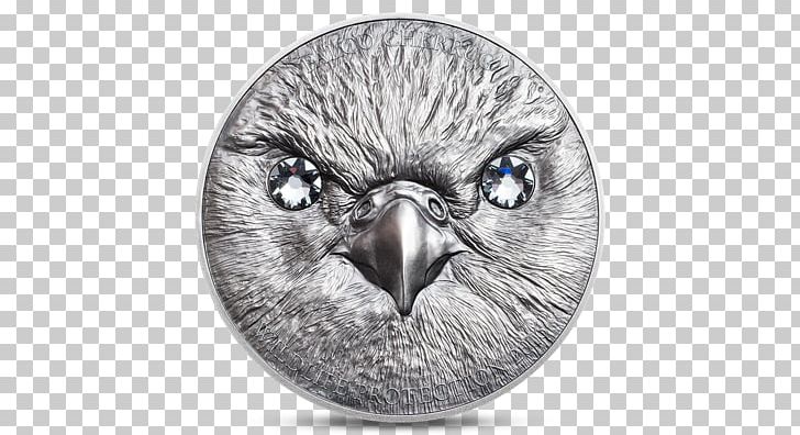 Mongolian Tögrög Silver Coin PNG, Clipart, Bank Of Mongolia, Beak, Bird, Bird Of Prey, Coin Free PNG Download