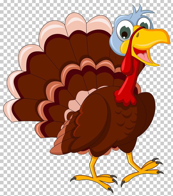 Thanksgiving PNG, Clipart, Beak, Bird, Cartoon, Chicken, Document Free PNG Download