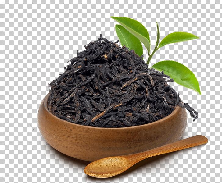 Dianhong Assam Tea Nilgiri Tea Oolong PNG, Clipart, Assam, Assam Tea, Bai Mudan, Bancha, Biluochun Free PNG Download