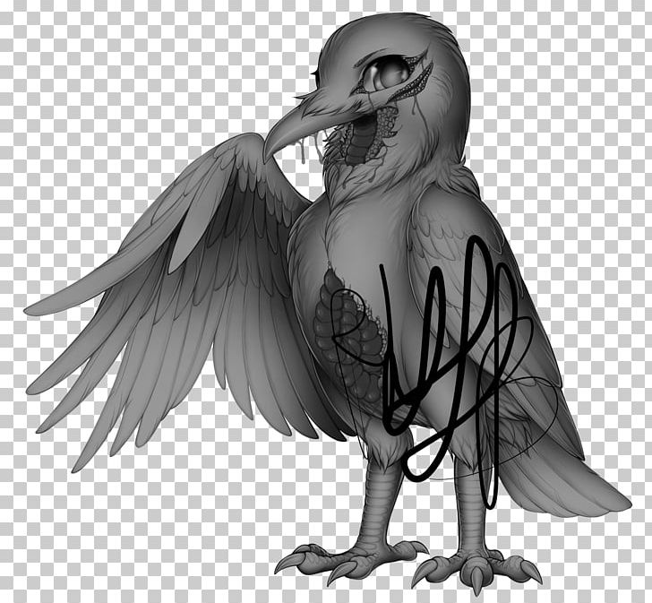 Eurasian Magpie Bird Crow Family Hooded Crow Cygnini PNG, Clipart, Animals, Beak, Bird, Bird Of Prey, Cygnini Free PNG Download