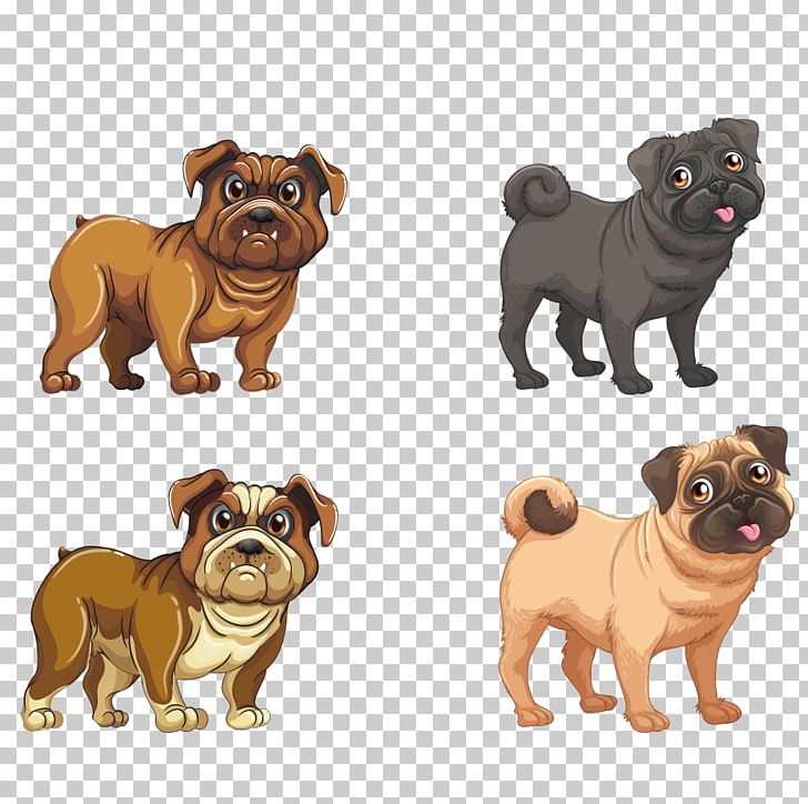 Pugs PNG, Clipart, Animal, Bulldog, Carnivoran, Chihuahua, Companion Dog Free PNG Download