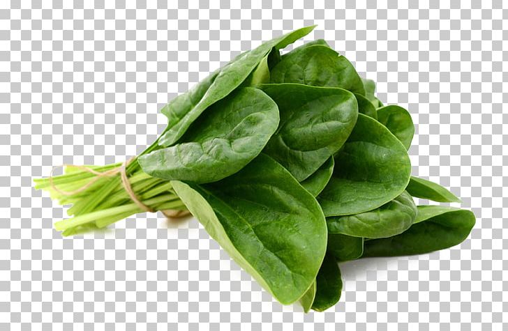Spinach Leaf Vegetable Food PNG, Clipart, Arugula, Basil, Cannelloni, Chard, Choy Sum Free PNG Download