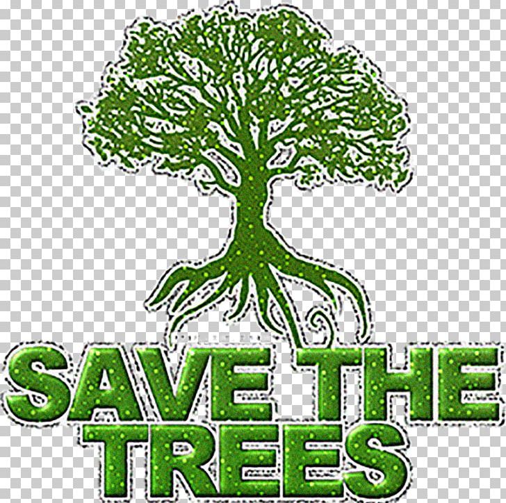 Tree Planting Natural Environment Billion Tree Campaign Essay PNG, Clipart, Arbor Day, Archaeopteris, Billion Tree Campaign, Essay, Flowering Plant Free PNG Download