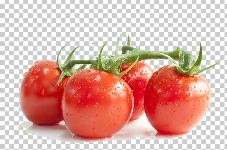 Cherry Tomato Tomato Soup Lycopene Extract Damiana PNG, Clipart, Bush Tomato, Cherry, Cherry Blossom, Food, Fruit Free PNG Download