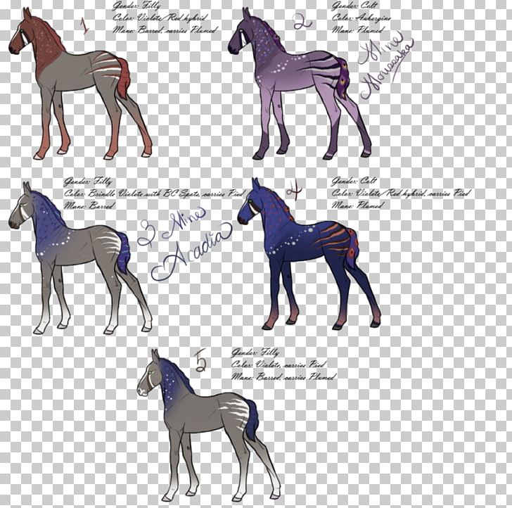Dog Foal Colt Stallion Horse PNG, Clipart,  Free PNG Download