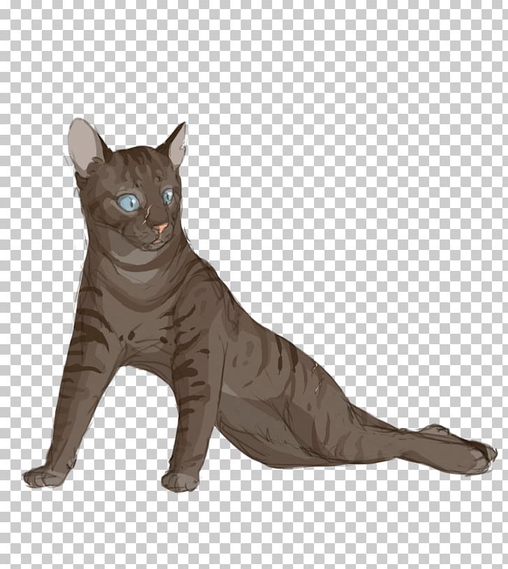 European Shorthair Korat Domestic Short-haired Cat Whiskers Briarlight PNG, Clipart, Asia, Asian, Asian People, Briarlight, Carnivoran Free PNG Download