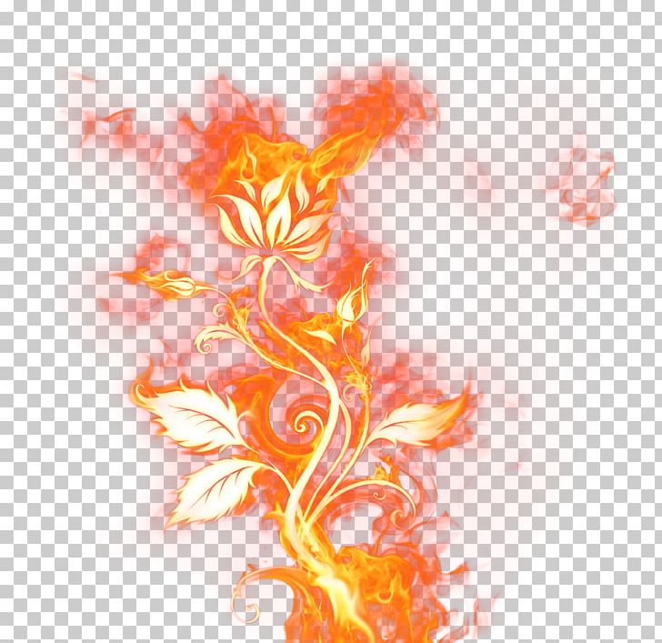 Light Fire PNG, Clipart, Computer Wallpaper, Desktop Wallpaper, Fire, Flame, Flower Free PNG Download