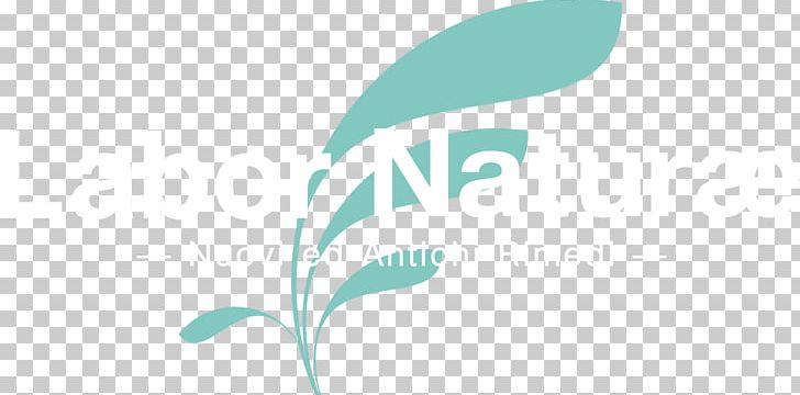 Logo Desktop Font PNG, Clipart, Animals, Aqua, Brand, Closeup, Computer Free PNG Download