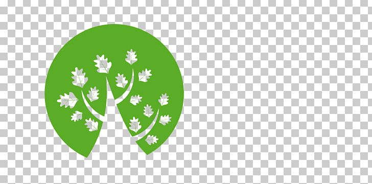 Tree Sessile Oak PNG, Clipart, Acorn, Brand, Circle, Computer Icons, Grass Free PNG Download