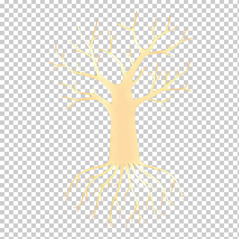 Tree Woody Plant Branch Plant Root PNG, Clipart, Branch, Plant, Plant Stem, Root, Tree Free PNG Download